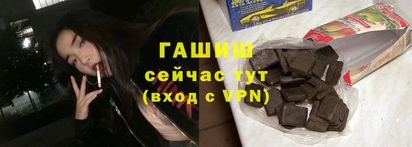 PSILOCYBIN Алзамай