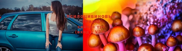 PSILOCYBIN Алзамай