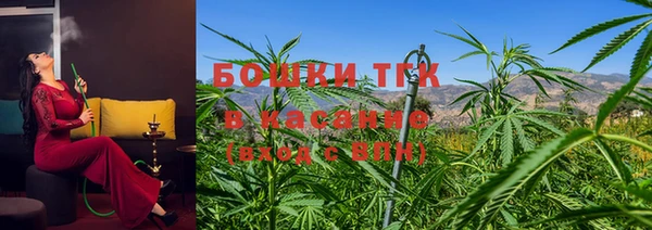 PSILOCYBIN Алзамай