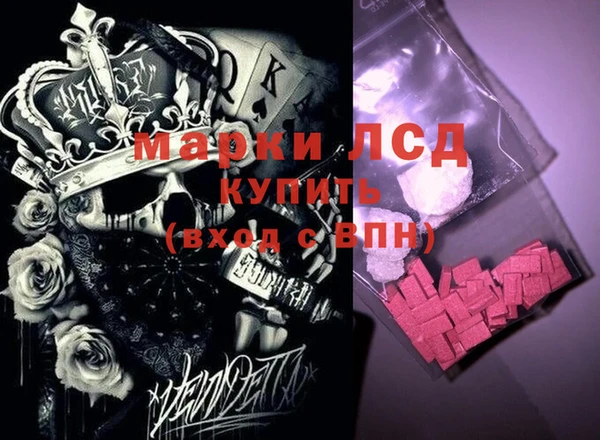 PSILOCYBIN Алзамай